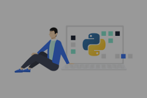Python Programmers