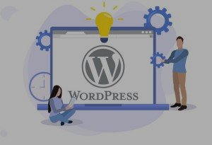 Best WordPress Themes