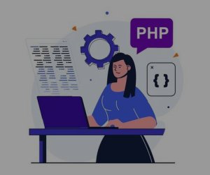 Best PHP Programmers