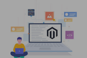 Best Magento Developers