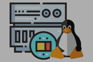 Best Linux Hosting Services